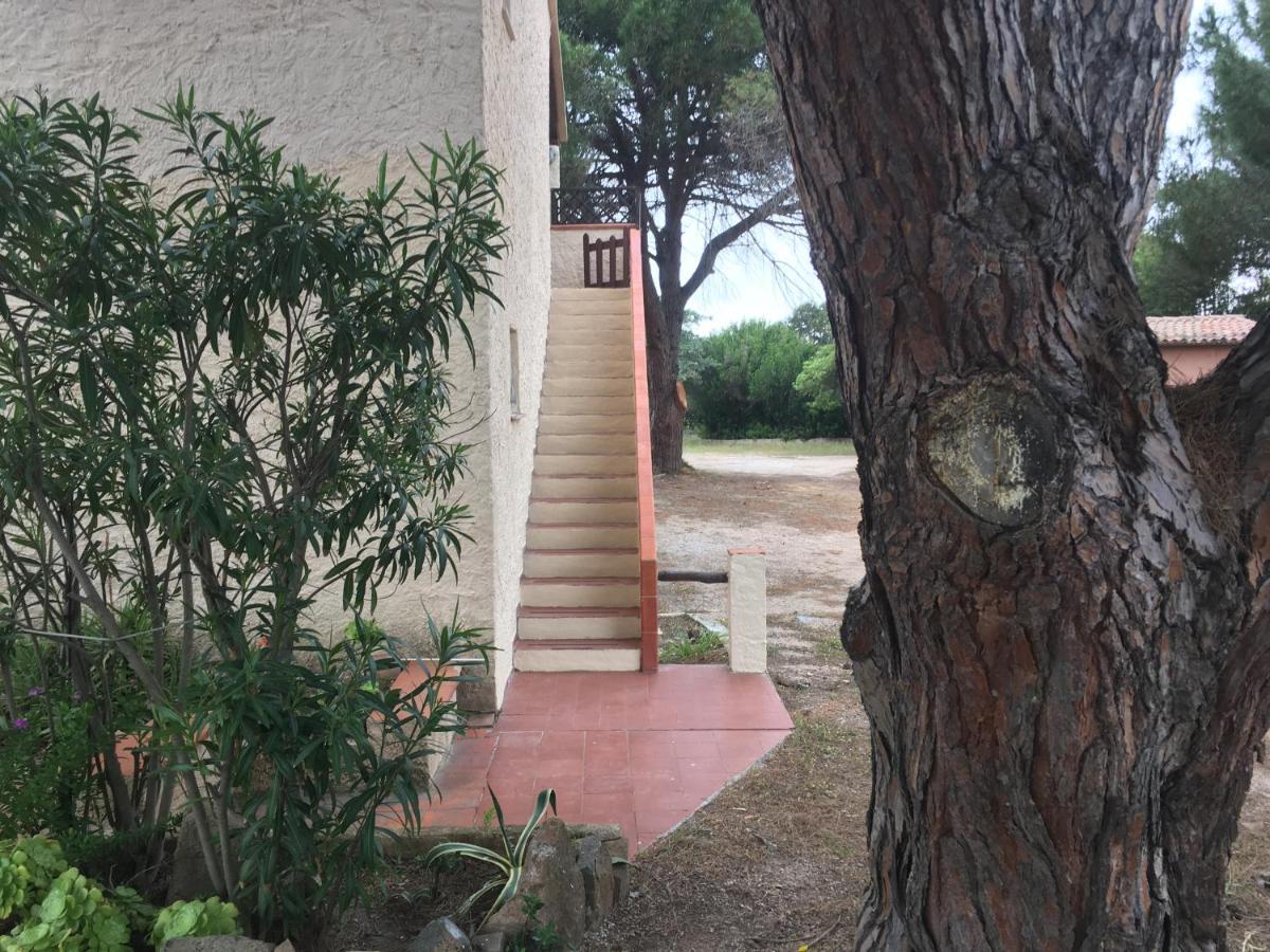 Monolocale a Rena Majore di Gallura Esterno foto